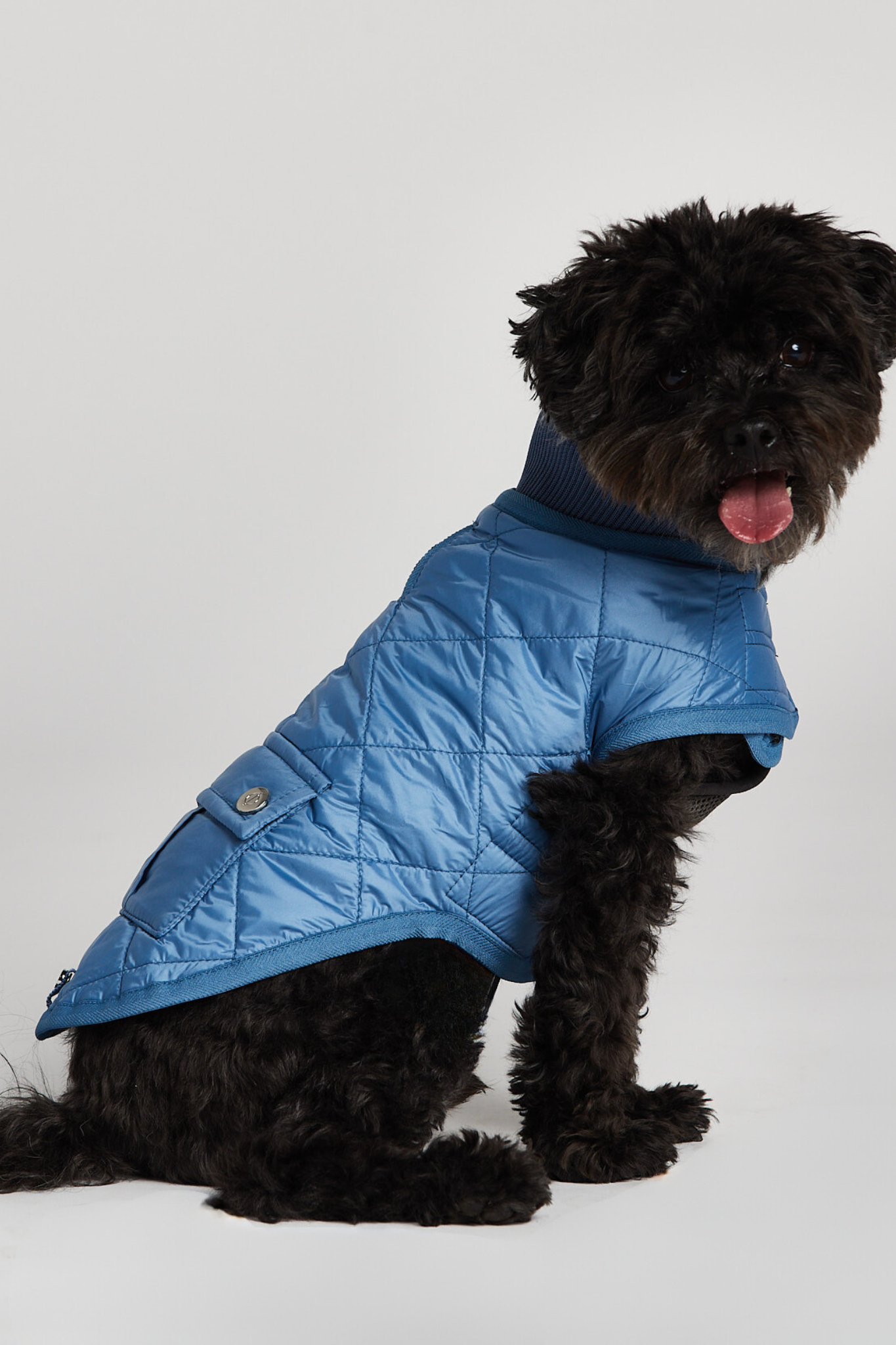 Romeo quilted dog coat