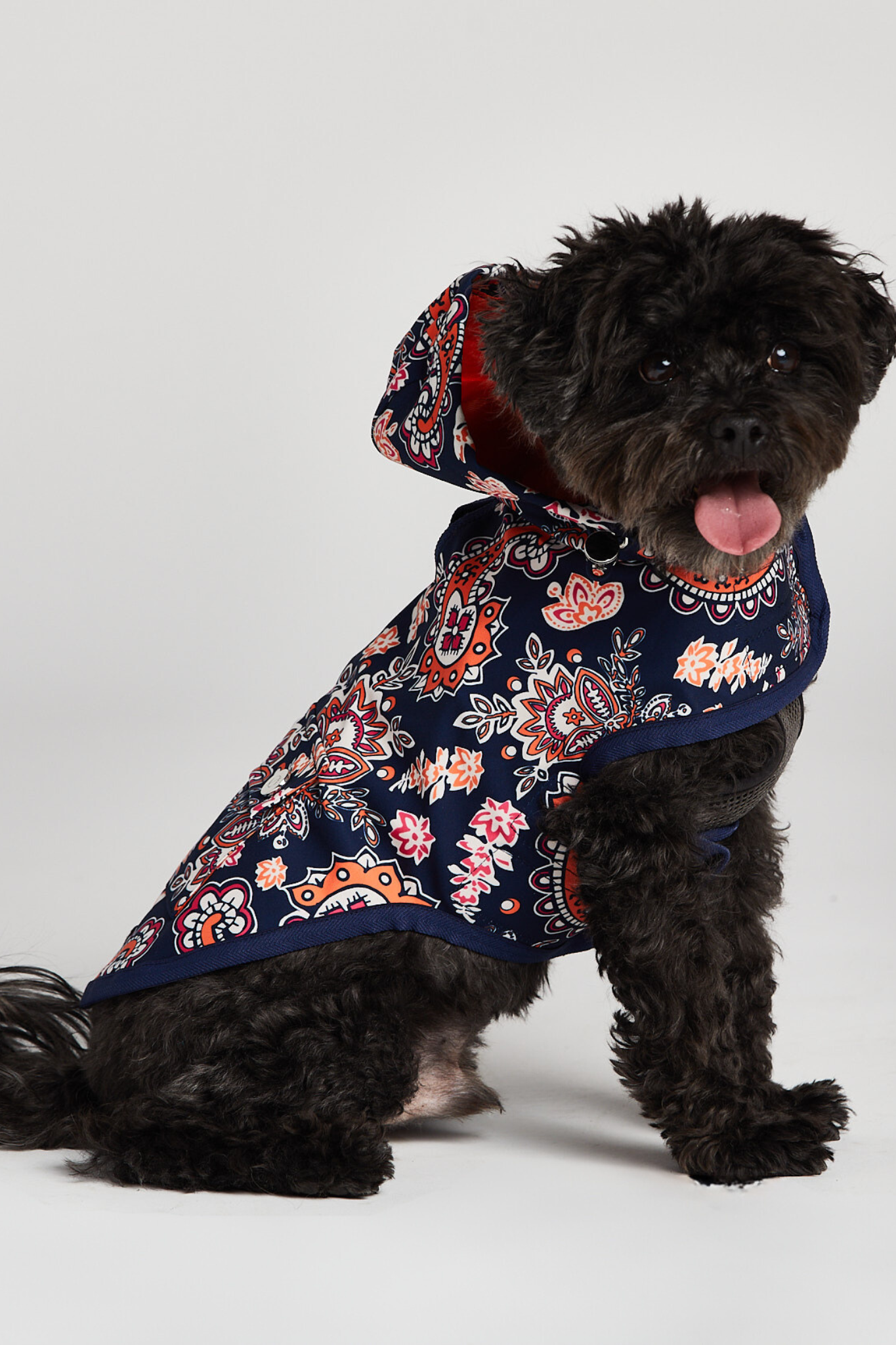 Ricky dog raincoat