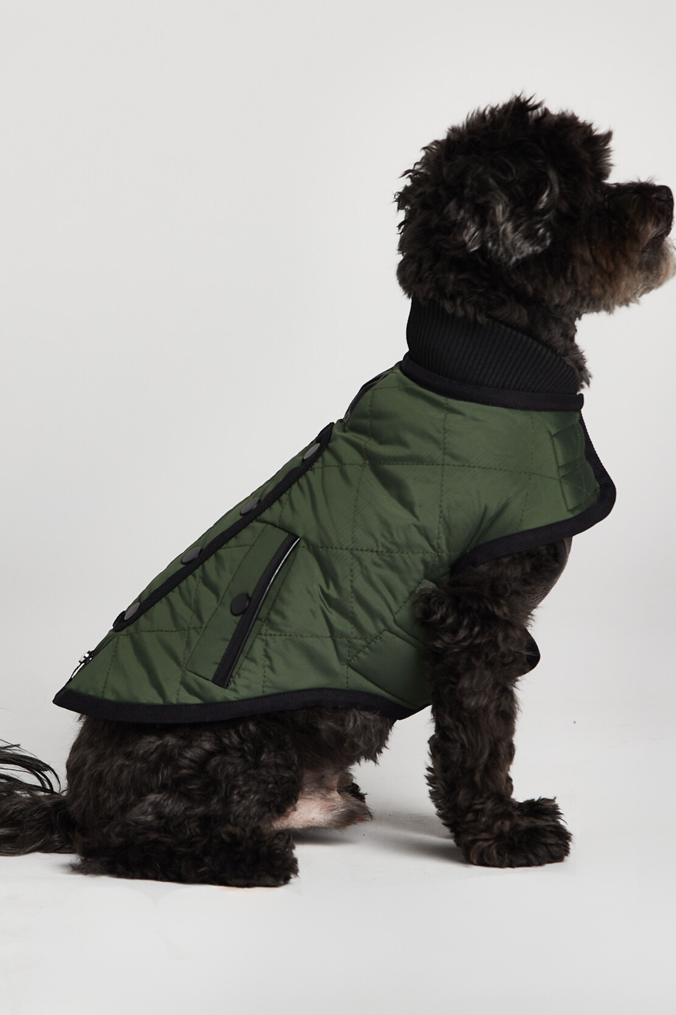 Patou Quilted Coat w/ Black Trims