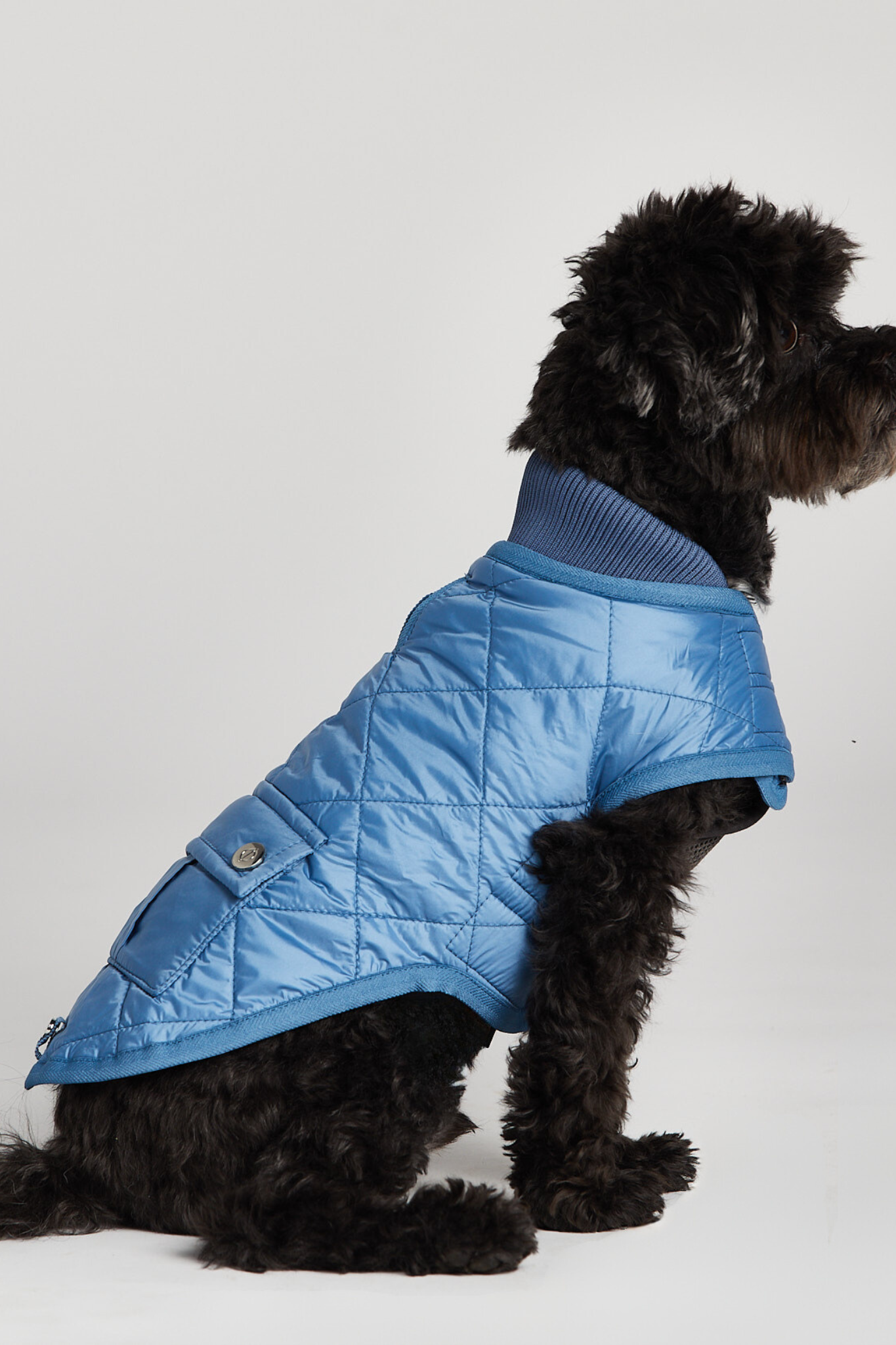 Manteau matelassé pour chien Romeo